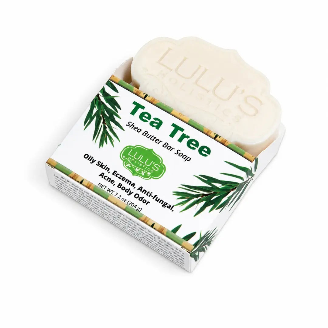 Coconut Milk Shea Butter Bar Soap – Moisturizing Cleanse